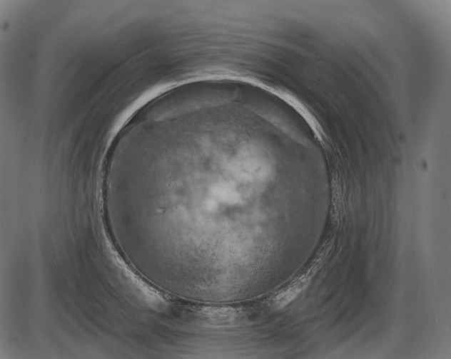 X0000087531142200704271200