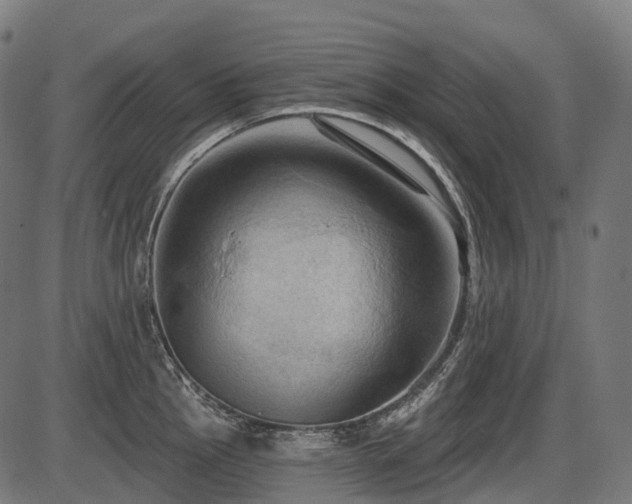 X0000087531145200704271200
