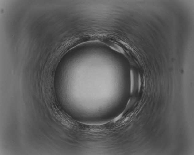 X0000087531153200704271200