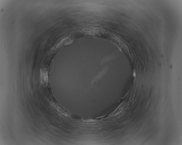 X0000087531155200704271200