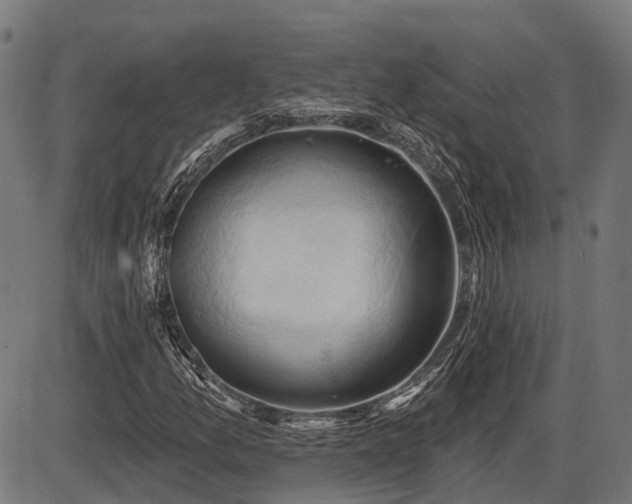 X0000087531157200704271200