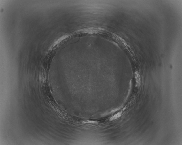 X0000087531158200704271200