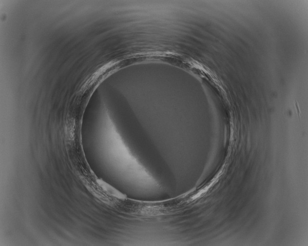 X0000087531161200704271200