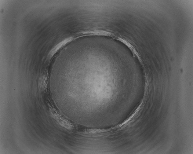 X0000087531163200704271200