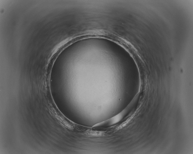 X0000087531168200704271159