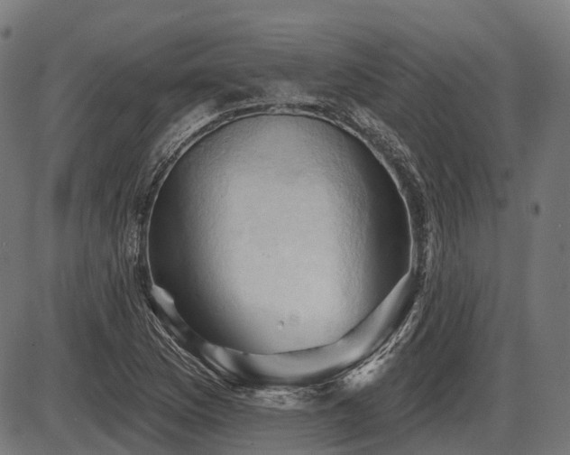 X0000087531169200704271159