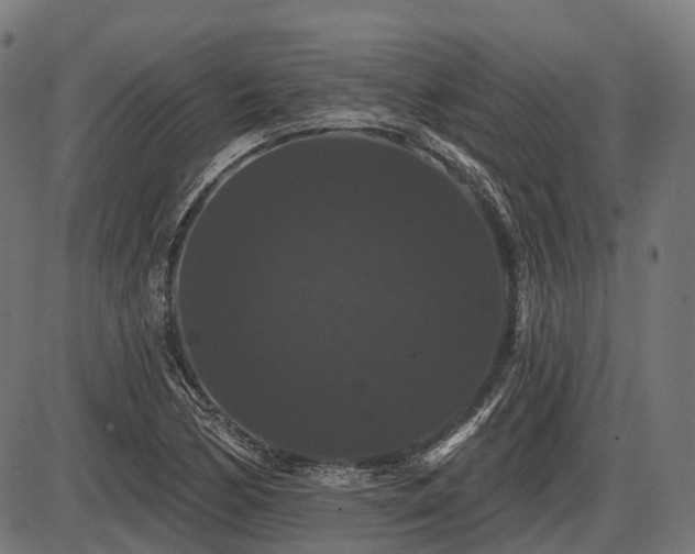 X0000087531170200704271159