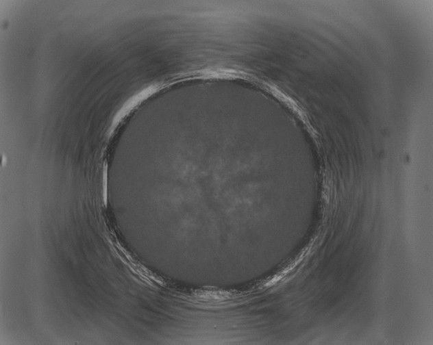 X0000087531171200704271159