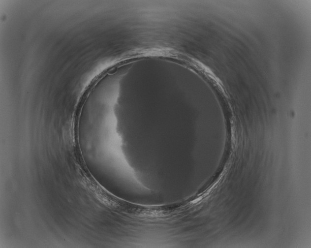 X0000087531174200704271159
