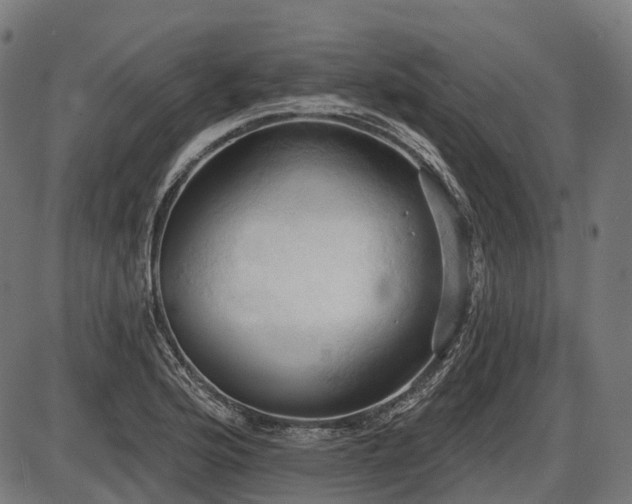 X0000087531176200704271159