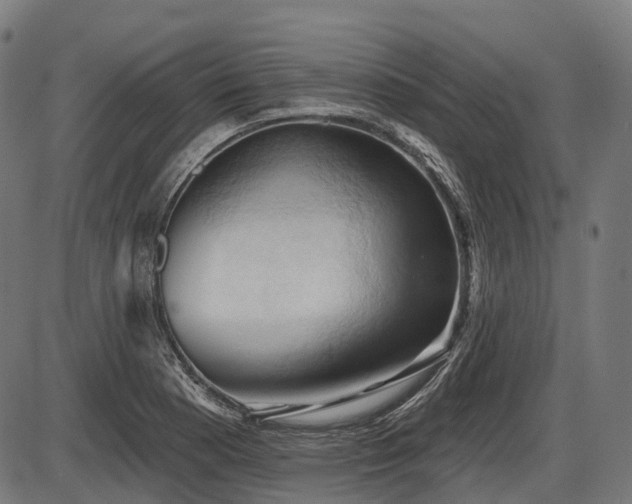 X0000087531177200704271159