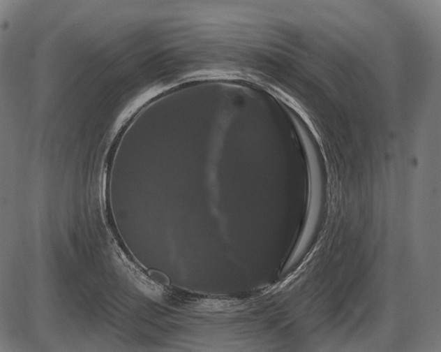 X0000087531179200704271159
