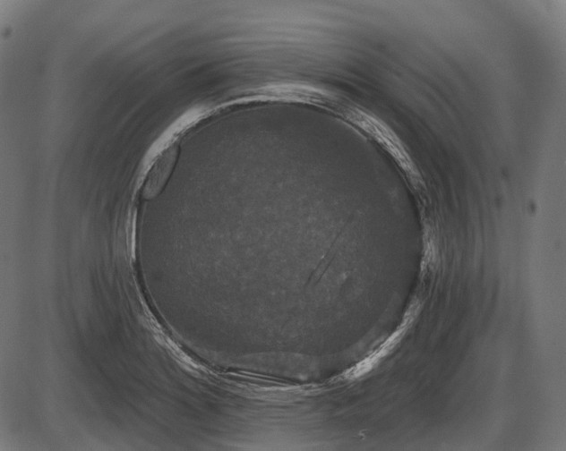 X0000087531180200704271159