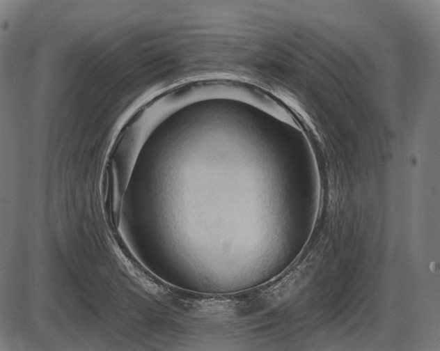 X0000087531181200704271159