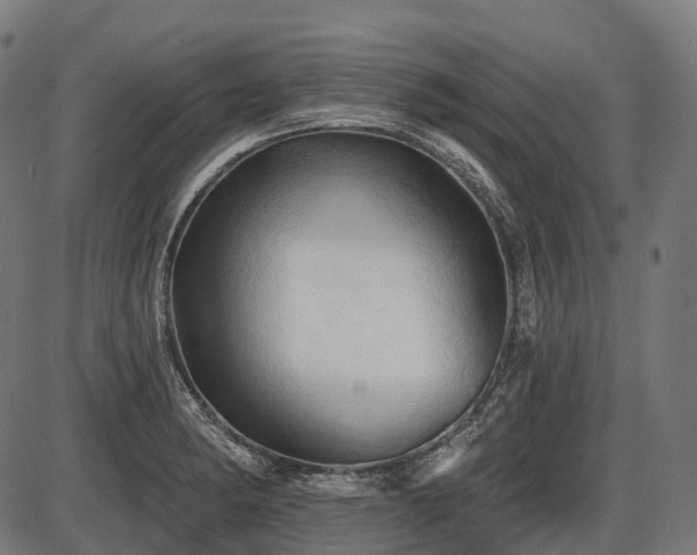 X0000087531182200704271159