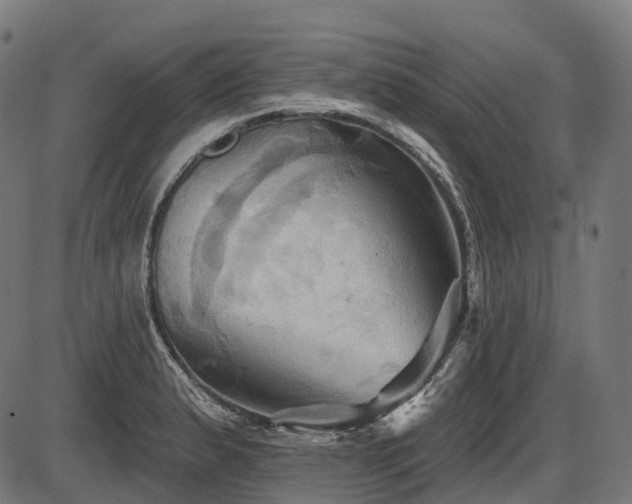 X0000087531183200704271159