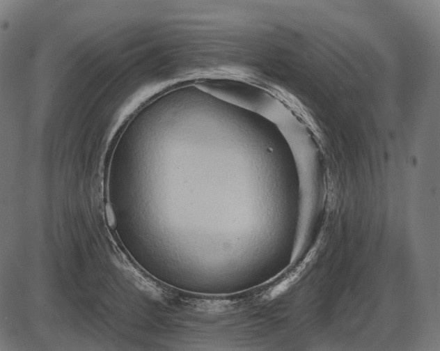 X0000087531184200704271159