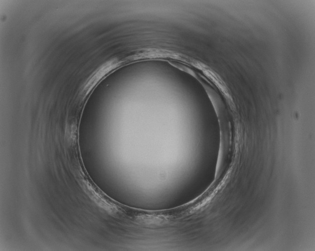 X0000087531185200704271159