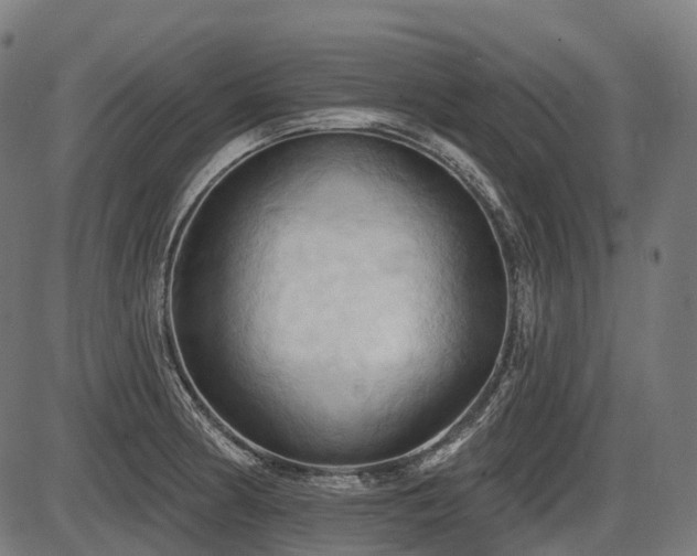 X0000087531186200704271159