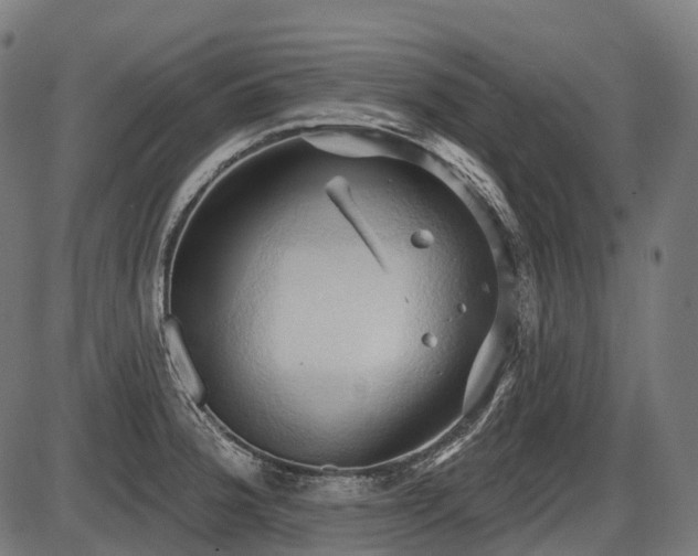 X0000087531188200704271159