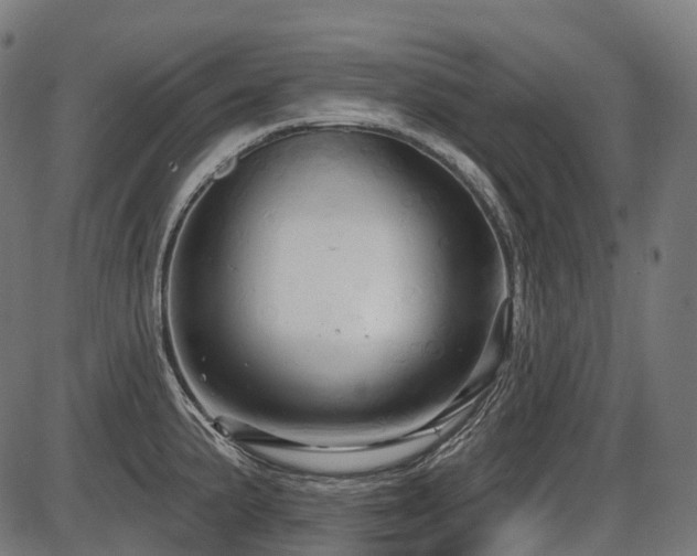 X0000087531191200704271159