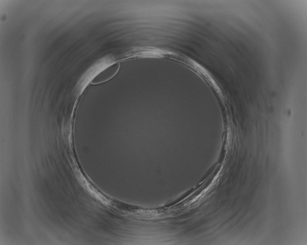 X0000087531194200704271159