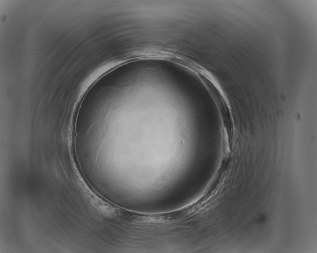 X0000087531195200704271159