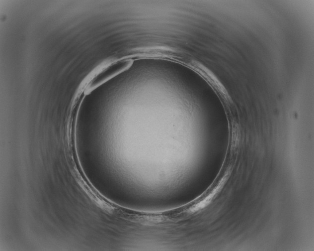 X0000087531196200704271159
