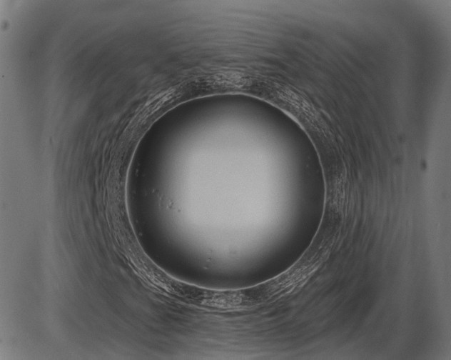 X0000087531201200704271158