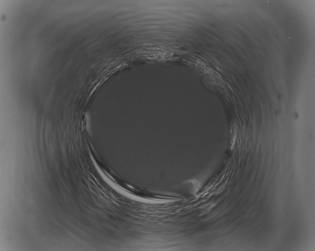 X0000087531202200704271158