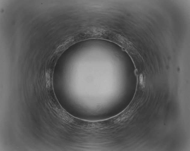 X0000087531203200704271158