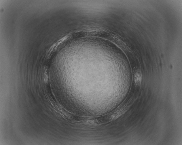 X0000087531204200704271158