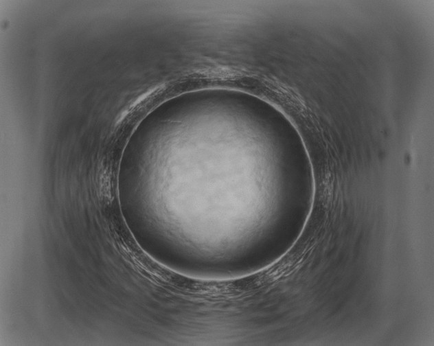 X0000087531205200704271158