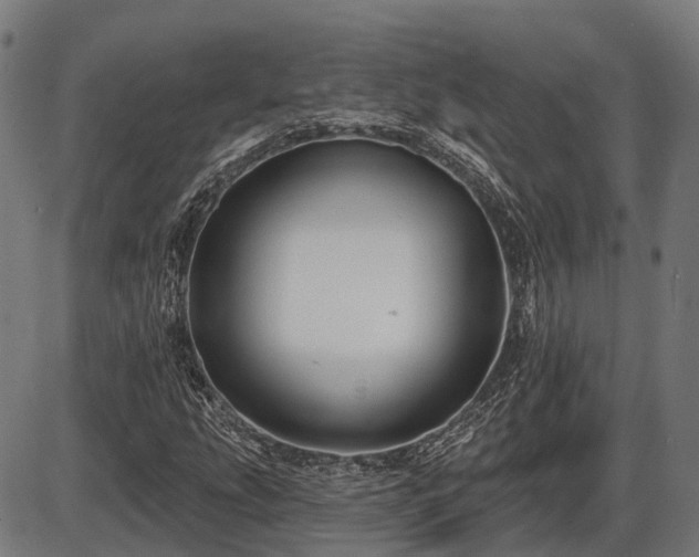 X0000087531207200704271158