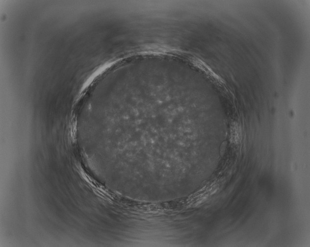 X0000087531208200704271158