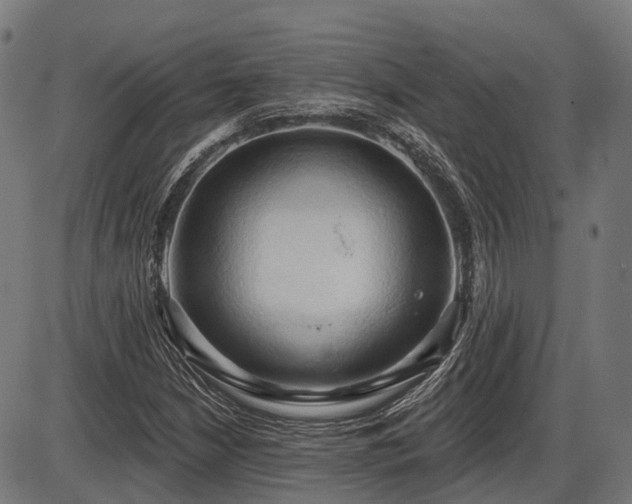 X0000087531210200704271158
