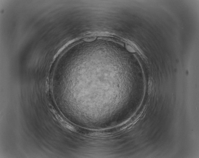 X0000087531212200704271158