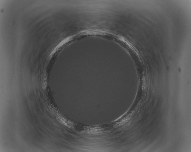 X0000087531213200704271158
