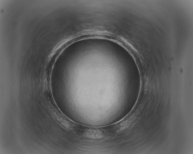 X0000087531215200704271158