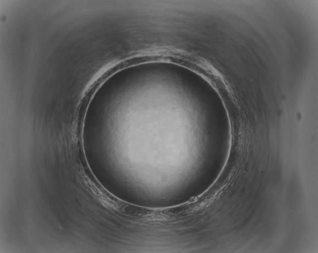 X0000087531216200704271158