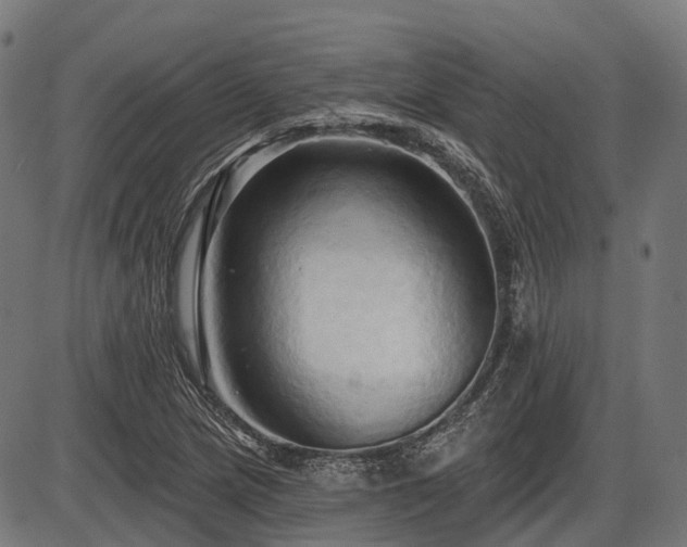 X0000087531217200704271158