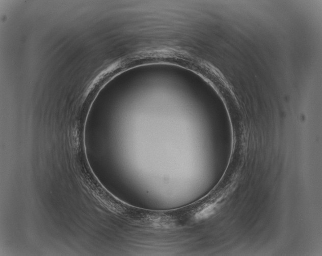 X0000087531218200704271158
