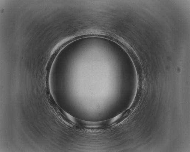 X0000087531222200704271158