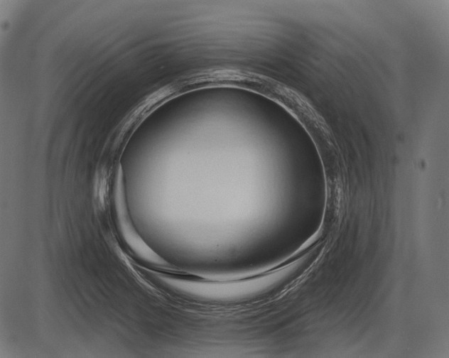 X0000087531225200704271159