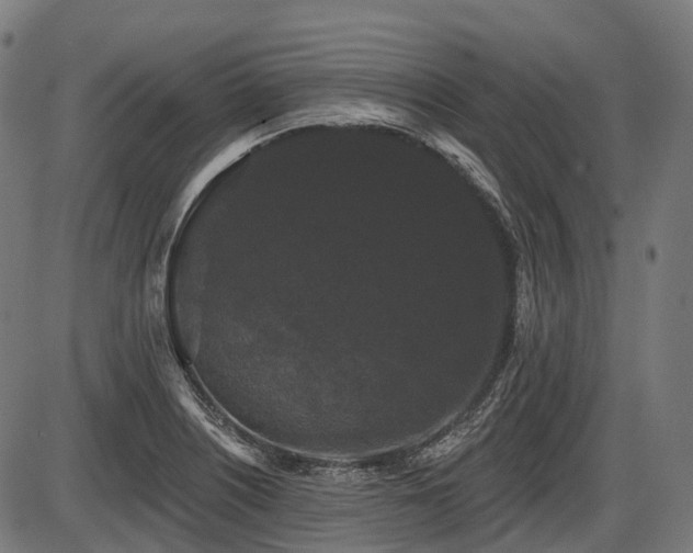 X0000087531226200704271159