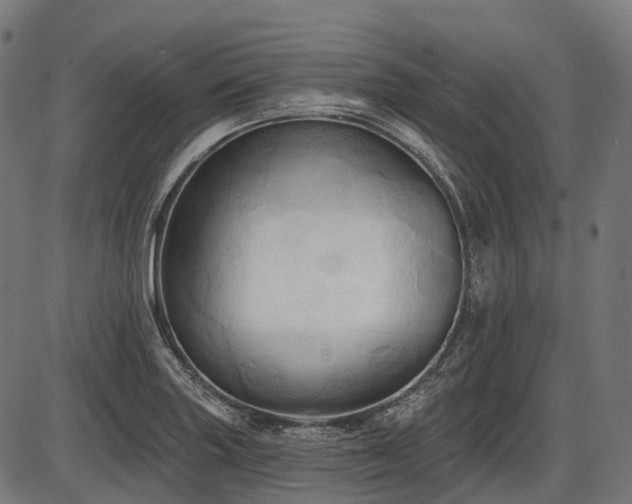 X0000087531227200704271159