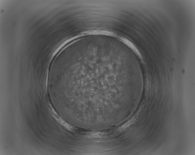 X0000087531228200704271159