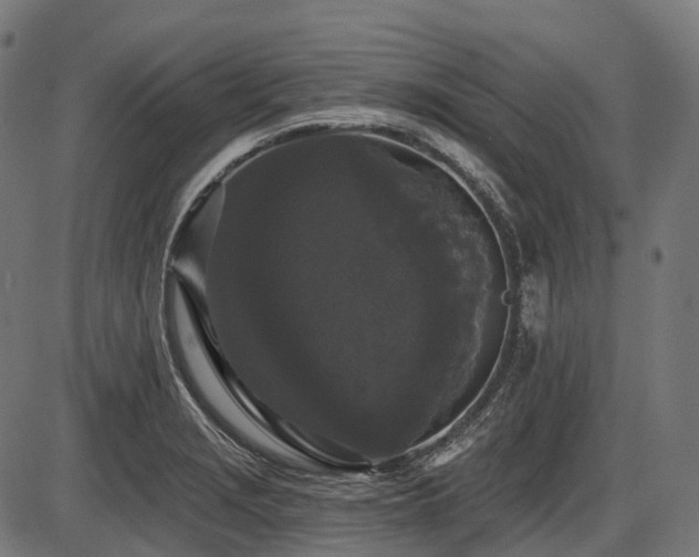 X0000087531229200704271159