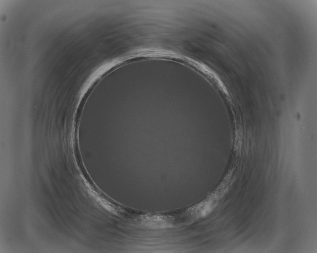 X0000087531231200704271159