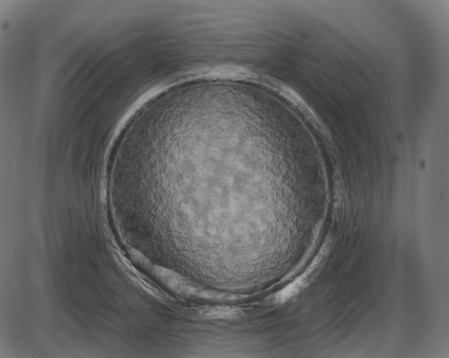 X0000087531232200704271159